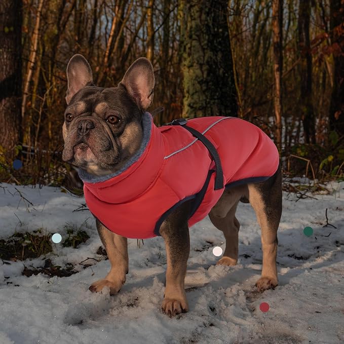 IECOii Extra Warm Dog Coat - Reflective, Adjustable Winter Jacket with Buckle & Turtleneck for Small to Extra Large Dogs