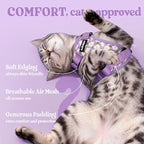 rabbitgoo Cat Harness and Leash Set, Escape Proof Vest, Purr-ple Daisy | Soft Breathable Mesh, Easy Adjustable Fit, Snap Buckles, Sturdy Clip, Reflective Strips, for Kittens & Small Cats Walks, Xxs