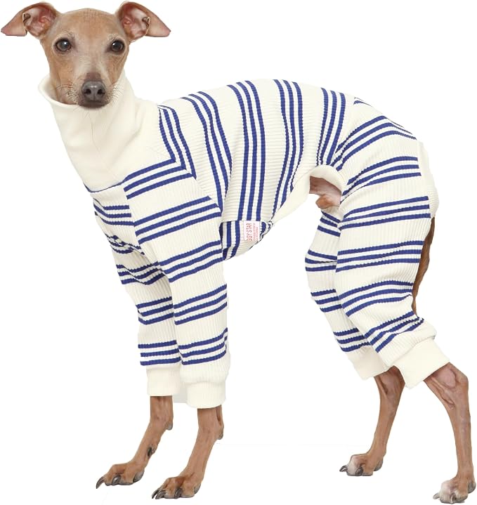 D Doggy Star Italian Greyhound Clothes Soft Stretchy Onesie Refined Stripe Outfit Whippet for Dog Coat (XL,Onsi Blue Str)
