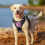 rabbitgoo Dog Harness, No Pull Medium Sized with 2 Leash Clips, Pet Vest | No Choke with Handle, Adjustable Soft Padded, Reflective, Easy Control for Walking, Red Stripe, Medium