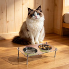 Elevated Cat Bowls with Food Mat Tilted 304 Stainless Steel Dishes for Cats | Raised Food and Water Bowl Set, Whisker Friendly Shallow Dish,10° tilted Anti-Vomiting, Durable Acrylic Base Feeder, Non-Slip