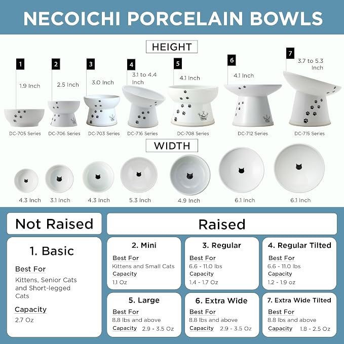 Necoichi Ceramic Elevated Cat Food Bowl (Fuji, Regular Flat)