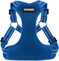 Voyager Step-in Flex Adjustable Dog Harness - Royal Blue, X-Large | 23 - 28" in Chest, Fully Adjustable, Reflective Bands, All Weather Breathable Air Mesh, Lightweight, Fast Drying