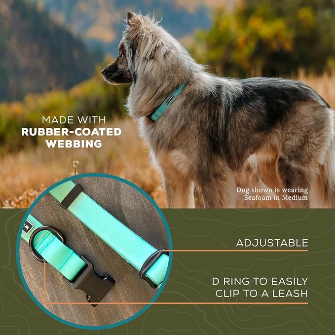 Wilderdog Waterproof Dog Collar - Repels Water & Dirt - Small 11"-15" - Seafoam