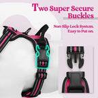 rabbitgoo Dog Harness, No Pull Medium Sized with 2 Leash Clips, Pet Vest | No Choke with Handle, Adjustable Soft Padded, Reflective, Easy Control for Walking, Hot Pink, Medium