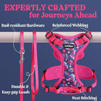 rabbitgoo Cat Harness and Leash Set, Escape Proof Vest, Coconut Fuchsia | Soft Breathable Mesh, Easy Adjustable Fit, Snap Buckles, Sturdy Clip, Reflective Strips, for Medium to Large Cats Walks, M
