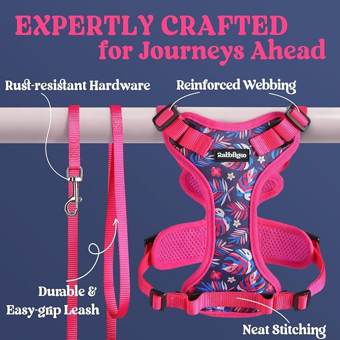 rabbitgoo Cat Harness and Leash Set, Escape Proof Vest, Coconut Fuchsia | Soft Breathable Mesh, Easy Adjustable Fit, Snap Buckles, Sturdy Clip, Reflective Strips, for Medium to Large Cats Walks, M