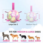 QDAN Dog Balls: Herding Ball for Dogs, Outdoor Toys Dog Soccer Ball with Straps, Interactive Pet Toys for World Cup Large Dogs Tug of War, Pet Birthday Gifts,Gradient Rainbow (8 Inch)