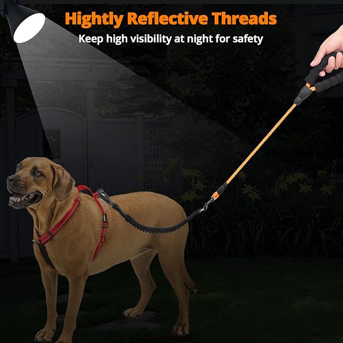 Long Dog Leash 30 FT: Heavy Duty Rope Leashes for Dogs Training with Swivel Lockable Hook Reflective Threads Bungee and Padded Handle - Dog Lead for Large Small Medium Dogs Outside Walking Hiking