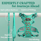 rabbitgoo Cat Harness and Leash Set, Escape Proof Vest, Cherry Grove | Soft Breathable Mesh, Easy Adjustable Fit, Snap Buckles, Sturdy Clip, Reflective Strips, for Average Cats Walks, S