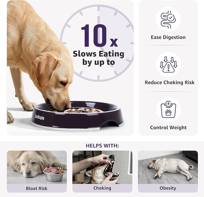 LOOBANI 3.5 Cups Ceramic Slow Feeder Dog Bowls Large Dogs with Grip Handles | Heavy Ceramic, Stay in Place, Healthier Eating, Durable & Easy-Clean, Foam-Protected, Perfect for Fast-Eating Large Breeds