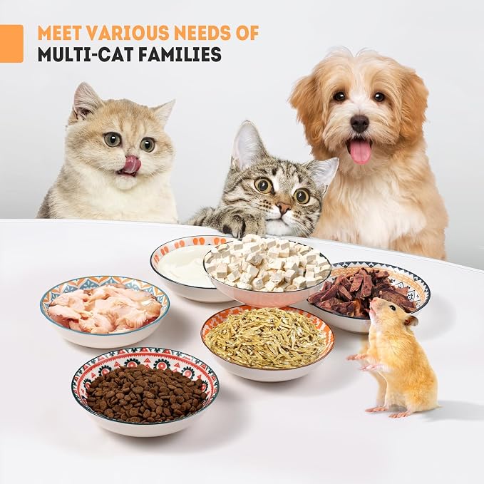 Cat Food Bowl, 6 Pack Ceramic Cat Dishes for Food & Water, Kitten Bowls Set | 5.5" Shallow Feeding Bowls for Wet Meals, Kibble & Water, Whisker Friendly Wide Plates for Cats, Dishwasher & Microwave Safe