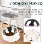 SuperDesign Mess Free 15° Slanted Bowl for Dogs and Cats, Tilted Angle Bulldog Bowl Dog Feeder, Non-Skid & Non-Spill, Easier to Reach Food M/1 Cup White