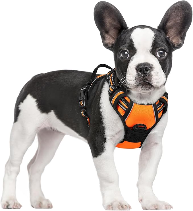 rabbitgoo Dog Harness, No Pull for Small Dogs with 2 Leash Clips, Pet Vest | No Choke with Handle, Adjustable Soft Padded, Reflective, Easy Control for Walking, Orange, Small