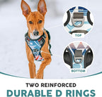 Embark Adventure No-Pull XL Dog Harness for Extra Large Dogs – Reflective Trim, Military-Grade Nylon, Dual Leash Clips, Gel-Lined Handle