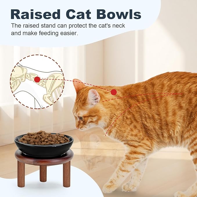 SPUNKYJUNKY Extra Wide Elevated Ceramic Cat Bowl with Acacia Wood Stand Whisker Friendly (Cat Paw Pattern, 2 Pack, Black)