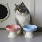 Pink Mushroom Cat Bowl, Elevated Ceramic Feeding Bowl | Elevated, Ceramic, Tilted Design, Whisker-Friendly, Dishwasher Safe, cute