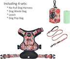 Petmolico No Pull Dog Harness Set with Leash Attachment Easy Control Handle Reflective Harness Vest Small Breed, Puppy Vest and Leash Set with Poop Bag Holder, Small - Boho Floral