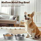 Heavy-Duty Stainless Steel Dog Bowl - Food Grade 304, Rustproof & BPA Free - Easy to Clean, Dishwasher Safe -Medium (48oz, 6 Cups) for Dogs 40-80lbs