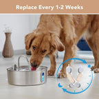 Smartoo Official 9 PCS Filters & 9 Sponges for 7L/236oz Dog Water Fountain | Incl. 1 Pump Holder Replacement for Smartoo Stainless Steel Pet Water Fountain, Durable & Genuine Filter Replacement.