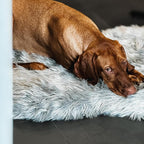 Faux Fur Orthopedic Dog Bed, Memory Foam, Grey 50"x30" | Plush Washable Dog Rug with Waterproof Machine Washable Cover, Calming for Anxious Senior Dogs, Relieves Joints