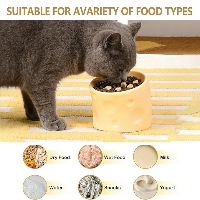 Ceramic Raised Cat Bowls, Elevated Cat Bowls with Food Mat | Anti-Vomiting & Spine Protection, Cheese-shaped, Whisker Friendly Pet Bowl, Dishwasher and Microwave Safe