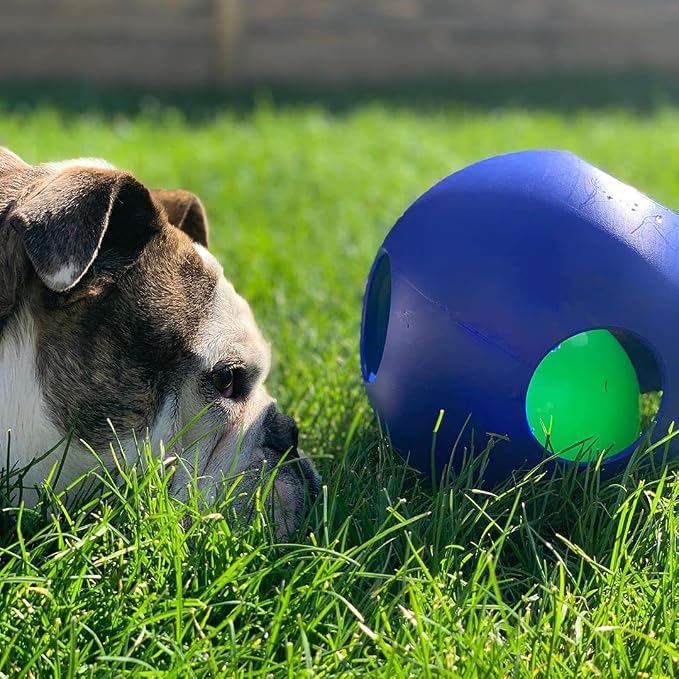 Jolly Pets Teaser Ball Dog Toy, Large/8 Inches, Blue, Model Number: 1508 BL