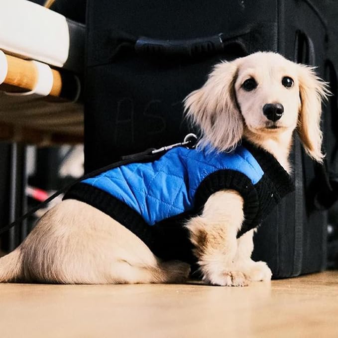 Gooby Fashion Vest Dog Jacket - Blue, X-Large - Warm Zip Up Bomber Vest with Dual D Ring Leash - Winter Water Resistant Small Dog Sweater
