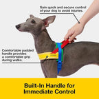 VETRESKA MoMA Dog Harness and Leash Set, Easy Walk Dog Harness (Yellow, L) | for Large Dogs, No Pull Puppy Harness for Walking and Training, Adjustable, Take Control & Anti-Twist Pet Lead Combo