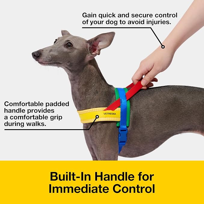 VETRESKA MoMA Dog Harness and Leash Set, Easy Walk Dog Harness, Yellow XS | for Small Medium Dogs, No Pull Puppy Harness for Walking and Training, Adjustable, Take Control & Anti-Twist Pet Lead Combo