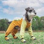 Full Coverage Small Dog Raincoat, 4-Leg Waterproof Jacket with Leash Hole & Backpack, Quick-Dry Pet Rain Gear for Teddy, Bichon, Schnauzer (Yellow, Small(Suggest weight3.3-5.5lb))
