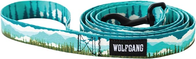 GreatEscape Dog Leash 1" x6'