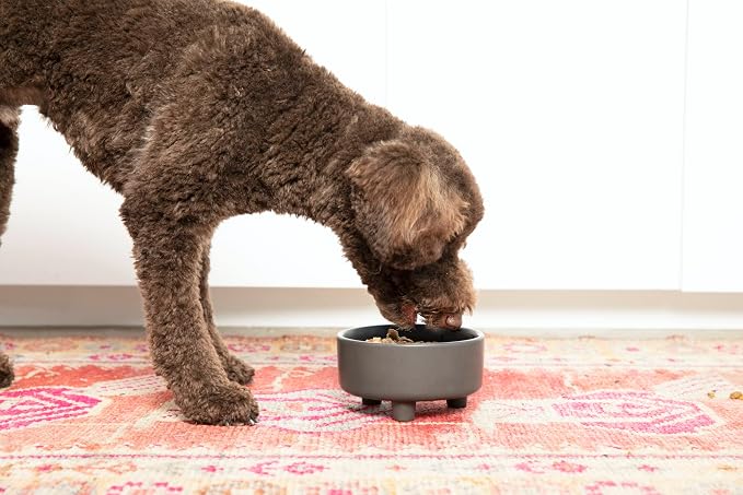 Waggo Uplift Ceramic Dog Bowl for Small Medium and Large Breeds - Heavyweight and Durable Pet Food and Water Dish Crock, Dishwasher Safe, Modern, Elevated Feeder (Black, Large)