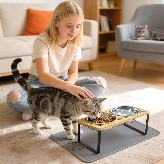Elevated Cat Food Bowls with Mat, 2 Stainless Steel Raised Cat Food and Water Bowls, 15 Tilted Stand Anti Vomitting, Whisker Fatigue, Dishwasher Safe Cat Bowl