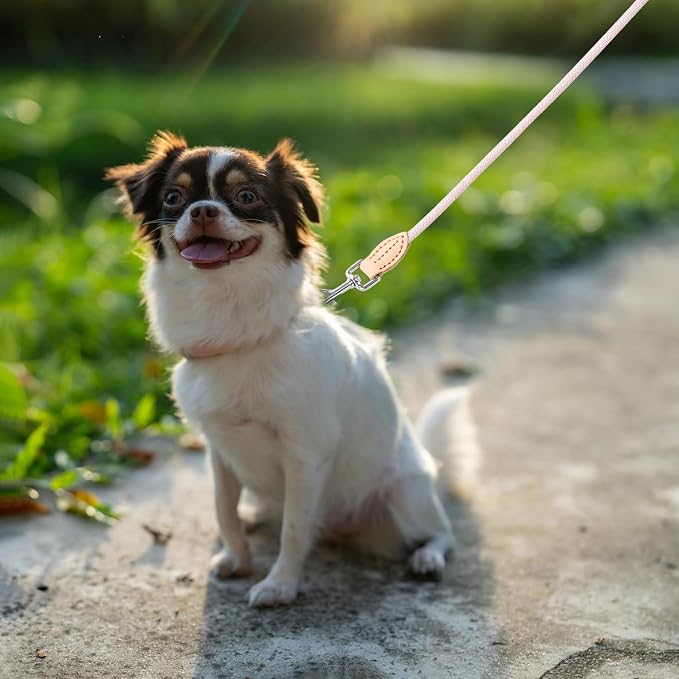 Mile High Life Dog Leash with Genuine Leather Connection, Thin Lightweight | Rope Leash, Heavy Duty 360° Swivel Metal Clasp, for Small Medium & Large Dogs Walking (Pink, 48 Inch-1/3)
