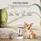 CZPET Automatic 4L/135Oz/1Gal Cat Water Dispenser with Stainless Steel Bowl, Gravity Waterer for Small Medium Dog Puppy Kitten (White) | With Stainless Steel Bowl, Gravity Waterer for Small Medium Dog Puppy Kitten