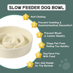Havniva Slow Feeder Dog Bowls, Ceramic Dog Bowl Slow Feeder for Fast Eater | 0.9 Cups Puzzle Dog Food Bowl, Slow Feeding Bowls for Small Breed, Non-Slip Rubber Base, Anti-Choking