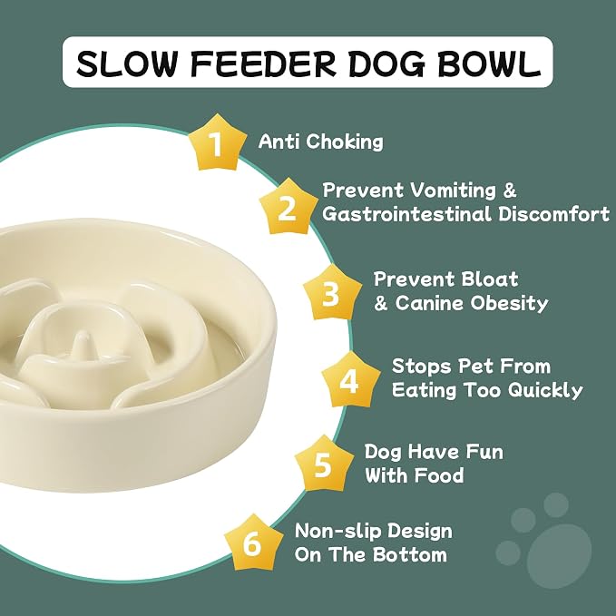 Havniva Slow Feeder Dog Bowls, Ceramic Dog Bowl Slow Feeder for Fast Eater | 0.9 Cups Puzzle Dog Food Bowl, Slow Feeding Bowls for Small Breed, Non-Slip Rubber Base, Anti-Choking