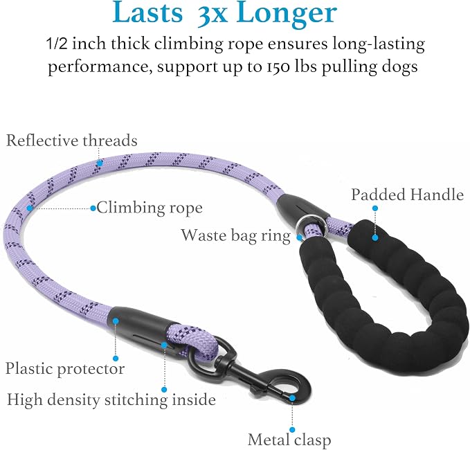 iYoShop Dual Dog Leash - 360° Swivel, No Tangle Walking Leash with Shock Absorbing Bungee for Two Dogs (Medium, 8-35 lbs, Lavender)