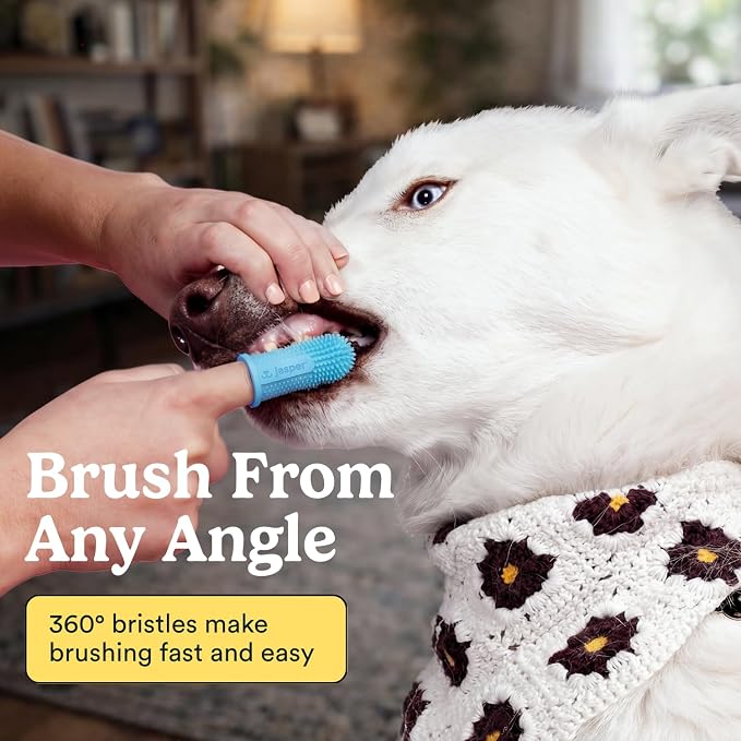 Jasper Dog Toothbrush, 360° Finger Toothbrush for Dogs & Cats, Blue 2-Pack | 12x More Bristles, Teeth Cleaning Kit for Small & Large Pets, Toothpaste Not Included, Fights Bad Breath, Extra Soft Silicone