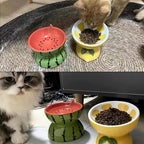 Hamiledyi Ceramic Raised Cat Bowl 2PCS Anti Vomiting Elevated Tilted Cat Food & Water Bowls Pet Feeder Dish for Indoor Kitty and Small Dogs (Watermelon & Lemon)