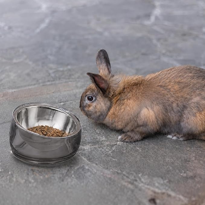 Felli Oblik 15° Tilted Small Animal Bowls for Pet Food & Water 6 oz Stainless Steel Dish Removable, Slanted Metal Plate Feeder for Kitten Puppy Rabbit Bunny Guinchilla Pig (0.75 Cups, Smoky)