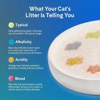 PrettyLitter Health Monitoring Cat Litter, Calm Aloe, 6 lb. Bag | Up to 1 Month Supply, Non-Clumping, Advanced Odor Control, Automatic Litter Box Compatible, Color Changing Silica Crystals