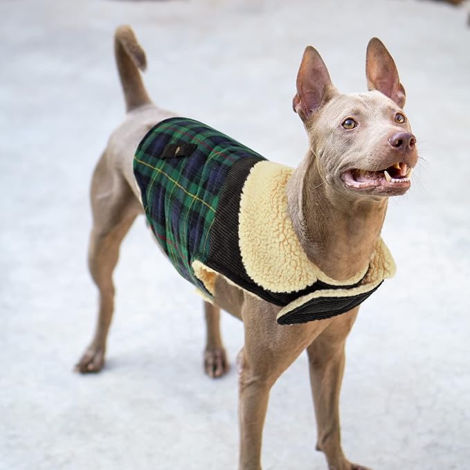 Winter Coat for Small and Medium Dogs, Puppy Plaid Jacket, Cotton Coat for Cold Weather, Windproof Warm Dog Garments, Pet Thickened Outfits Indoor Outdoor, Green XS