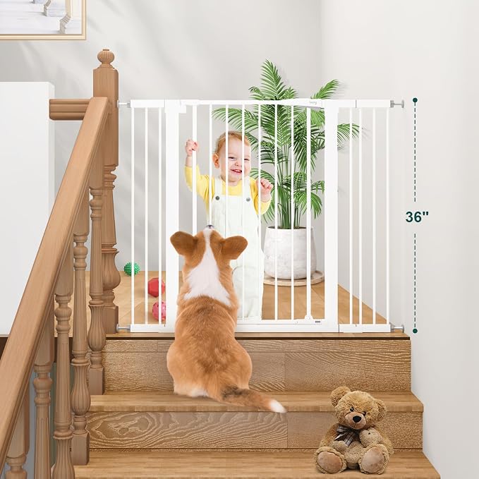 keny 36" Extra Tall Baby Gate for Doorways, Fits 29.7" to 46" Openings | Auto Close Pressured Mounted Dog Gate for Stairs, No Drilling Easy Install Pet Gate, White