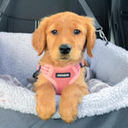 Voyager Step-in Flex Adjustable Dog Harness - Pink, Medium | 17 - 21" in Chest, Fully Adjustable, Reflective Bands, All Weather Breathable Air Mesh, Lightweight, Fast Drying
