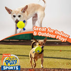 Hartz Dura Play Sports Soccer Dog Toy, Bacon Scented Squeaky Latex Yellow & Blue Toy, 3 Count