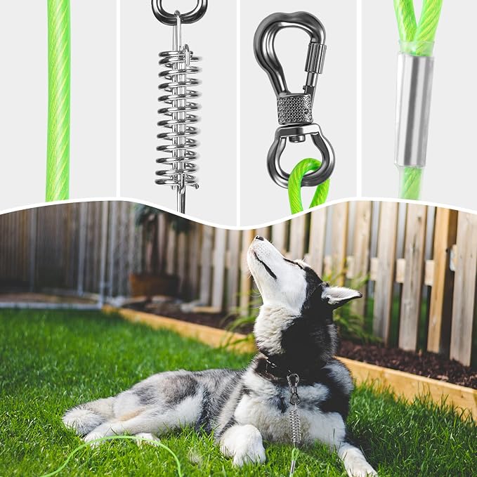 30FT Dog Tie Out Cable Lead with Shock Spring for Medium Large Dogs | Shock-Absorbing; 500LBS Tensile Strength; Strong Stainless Steel Core; 360° Swivel Locking Hook; Anti-Rust Vinyl Coating