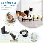 Ceramic Elevated Dog Bowl Set - Dog Feeder Station with Cute-Style Double Bowls for Small and Medium Size Breed - Non-Slip Raised Dish for Food and Water Feeding- 6 Inch - 3.5 Cups / 20 fl oz - Green