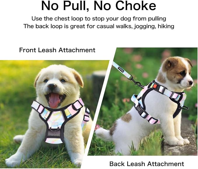 Petmolico No Pull Dog Harness Set with Leash Attachment Easy Control Handle Reflective Harness Vest Small Breed, Puppy Vest and Leash Set with Poop Bag Holder, Small - Iridescent